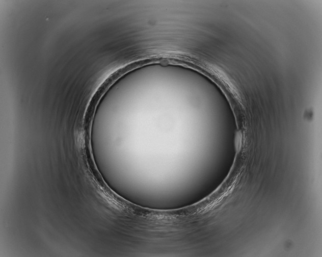 X0000100200924200806061319