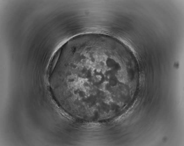 X0000100200925200806061319