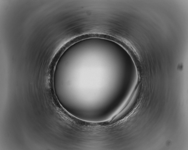 X0000100200926200806061319