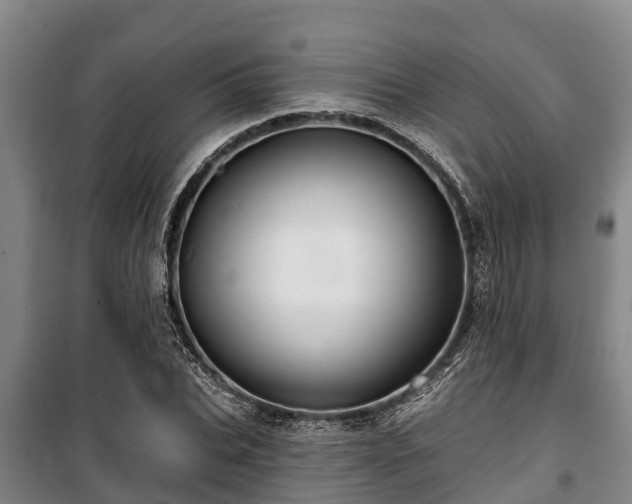 X0000100200927200806061319