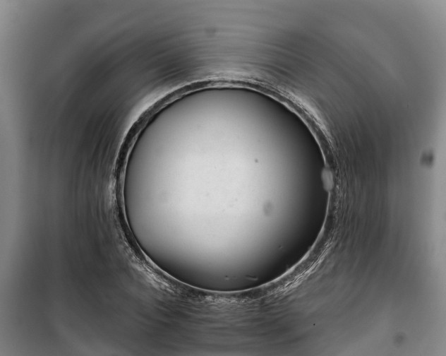 X0000100200928200806061319