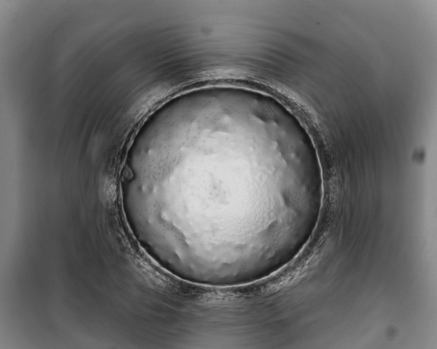 X0000100200929200806061319