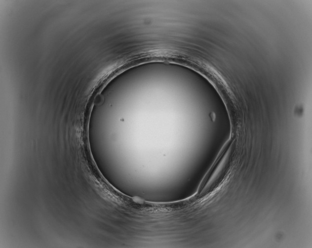 X0000100200930200806061319