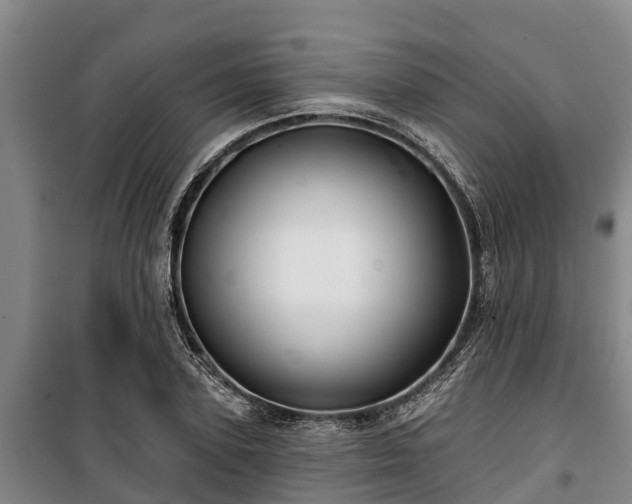 X0000100200931200806061319