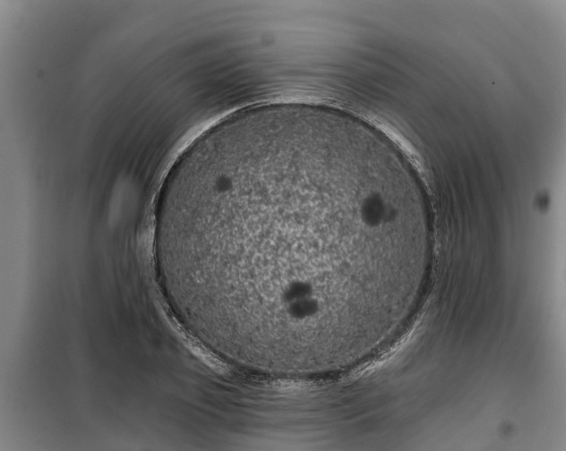 X0000100200933200806061319