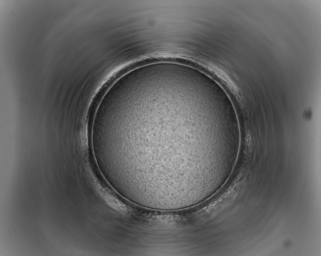 X0000100200934200806061319