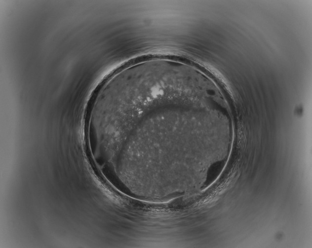 X0000100200935200806061319