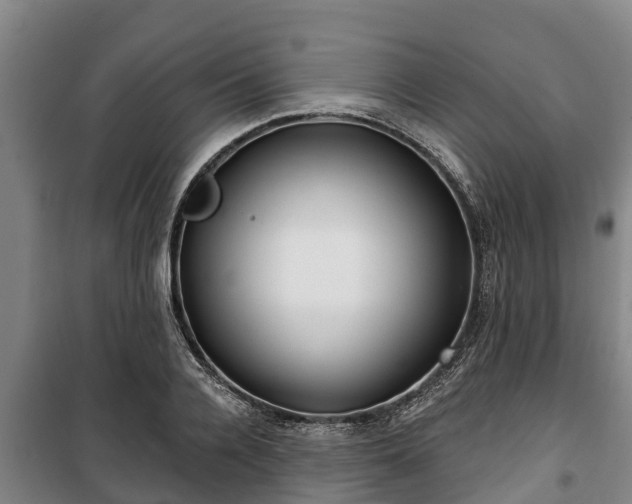 X0000100200936200806061319