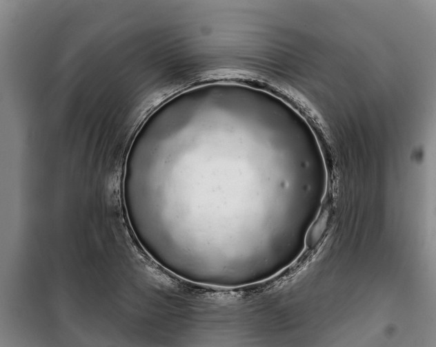 X0000100200937200806061319