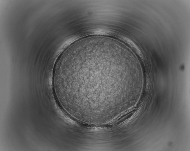 X0000100200938200806061319