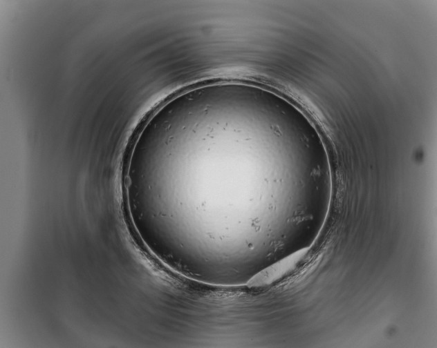 X0000100200939200806061319