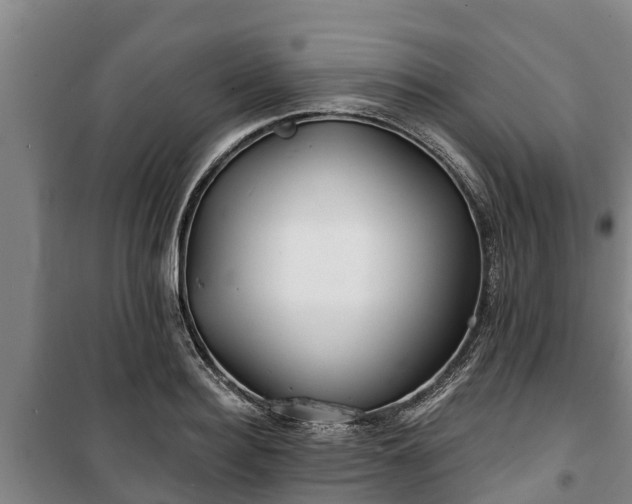 X0000100200940200806061319