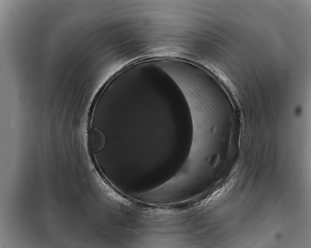 X0000100200941200806061319