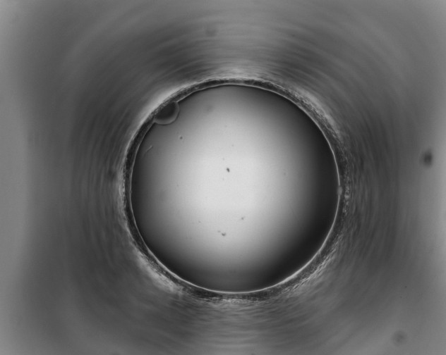 X0000100200942200806061319