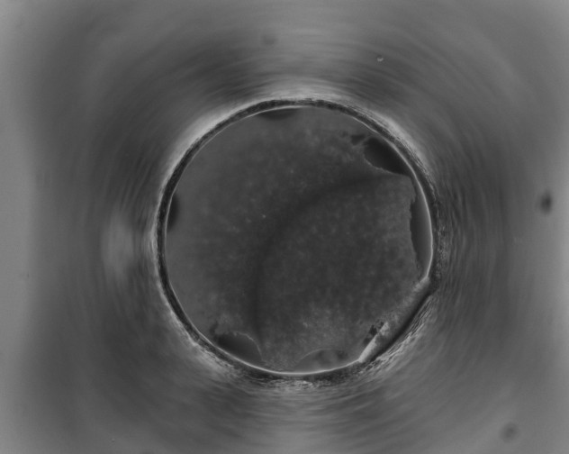 X0000100200943200806061319