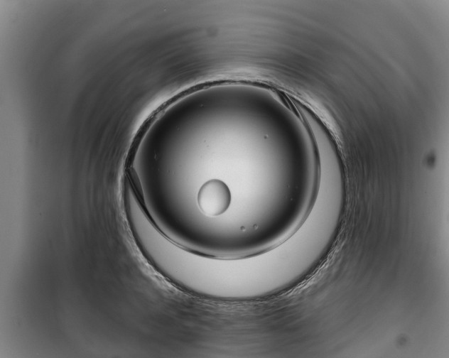 X0000100200944200806061319