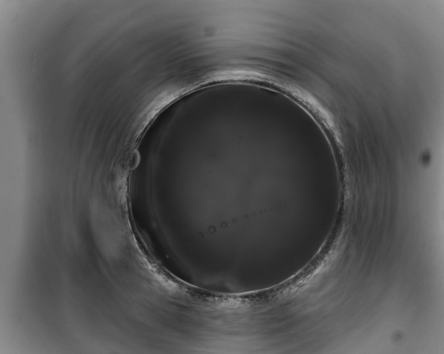 X0000100200945200806061319