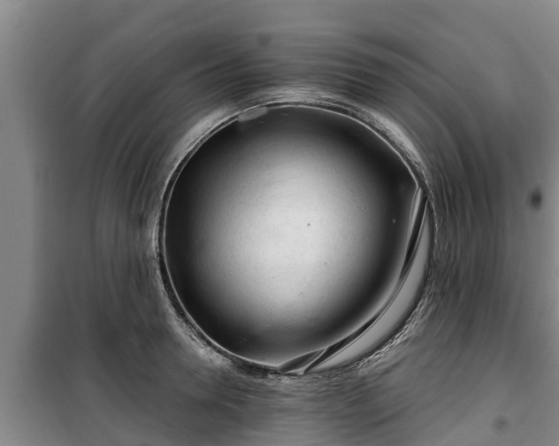 X0000100200946200806061319