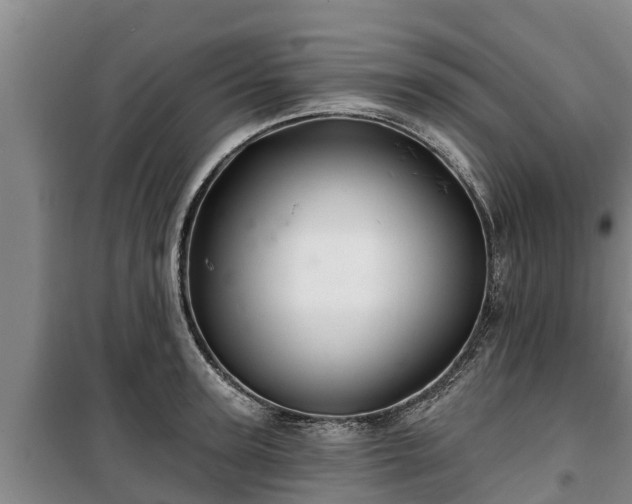 X0000100200947200806061319