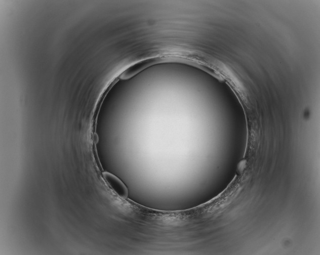 X0000100200948200806061319