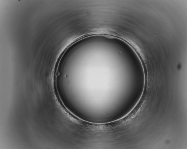 X0000100200949200806061319