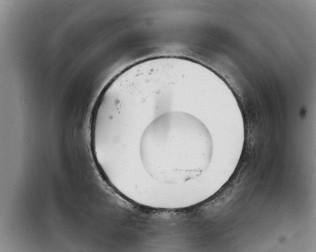 X0000100200950200806061319