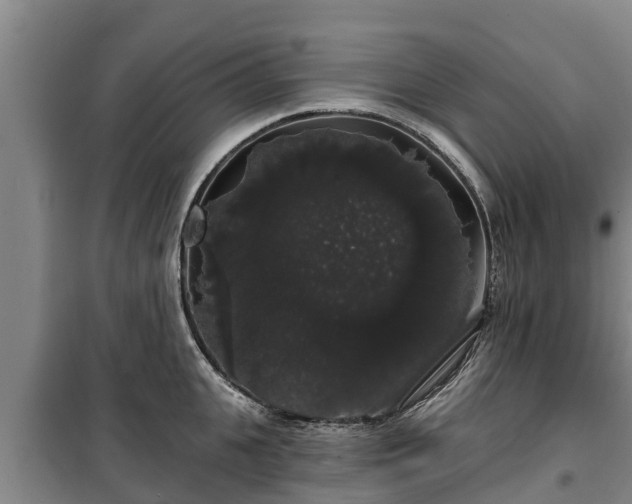 X0000100200951200806061319