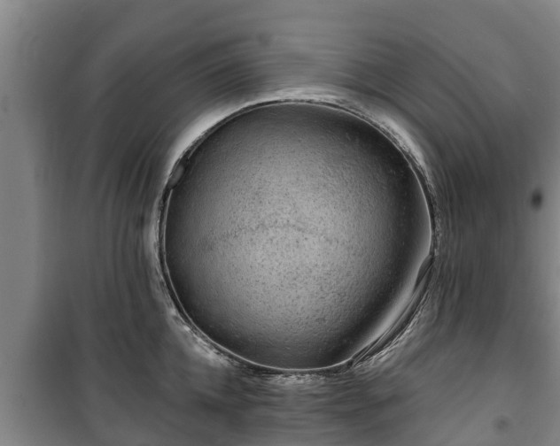 X0000100200952200806061319