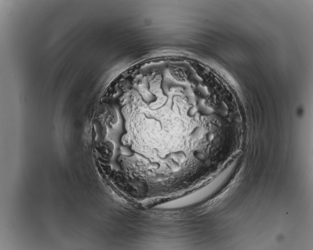 X0000100200953200806061319