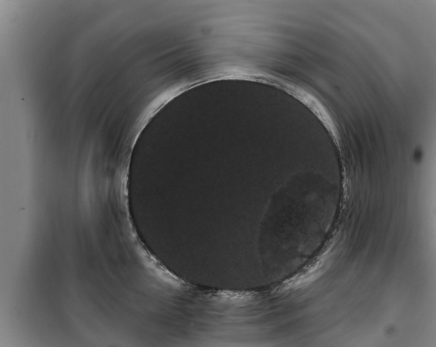 X0000100200954200806061319