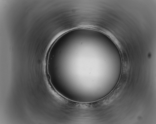 X0000100200955200806061319