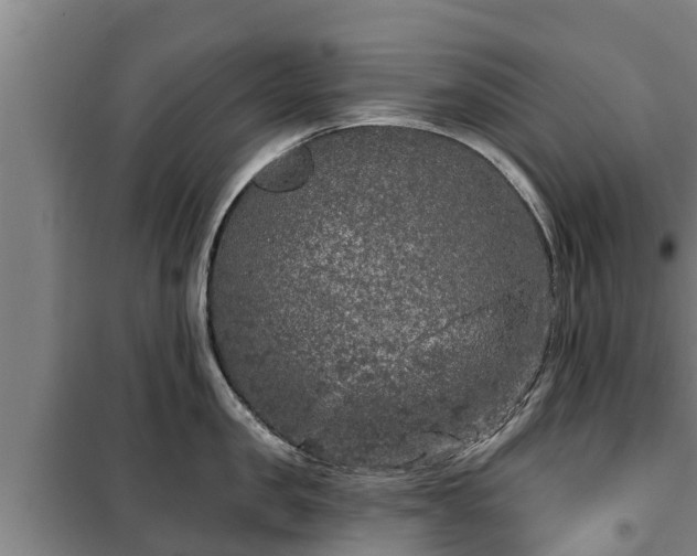 X0000100200957200806061319