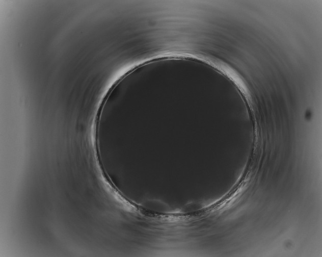 X0000100200958200806061319