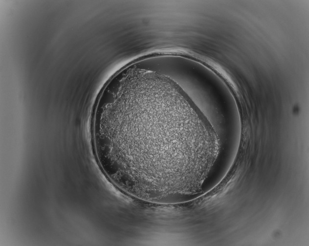 X0000100200959200806061319