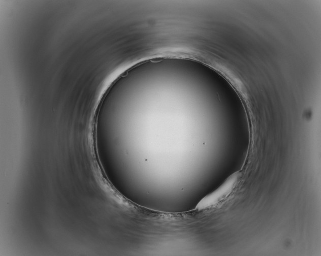 X0000100200960200806061319