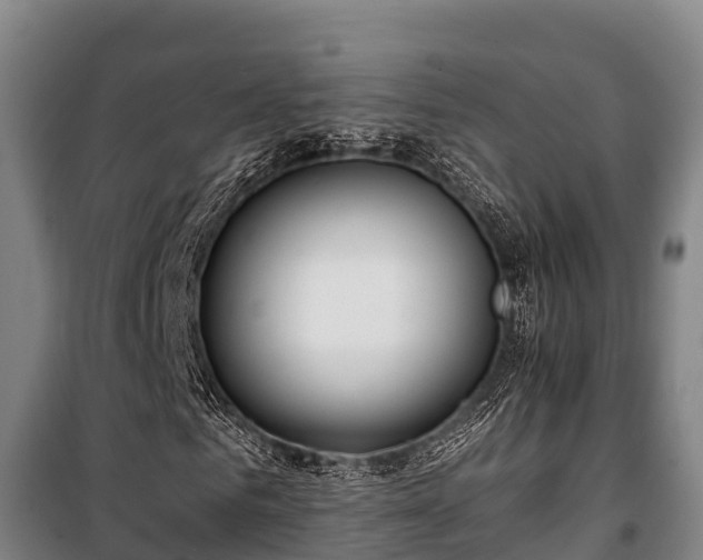 X0000100200961200806061318