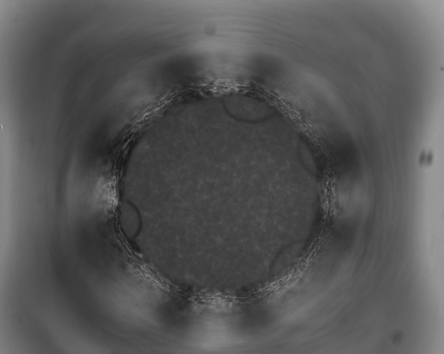 X0000100200962200806061318