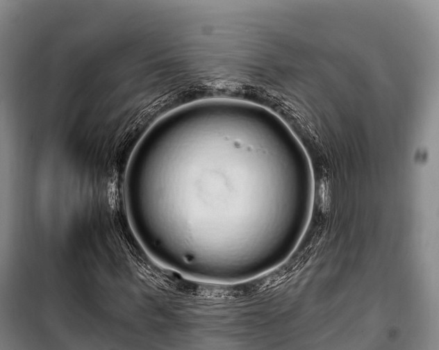 X0000100200963200806061318