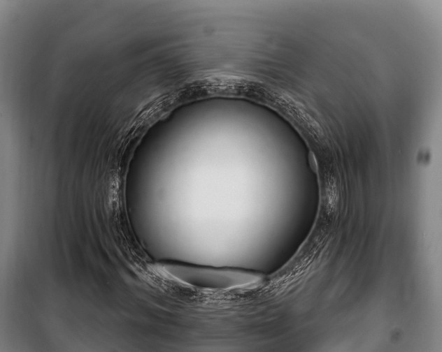 X0000100200964200806061318