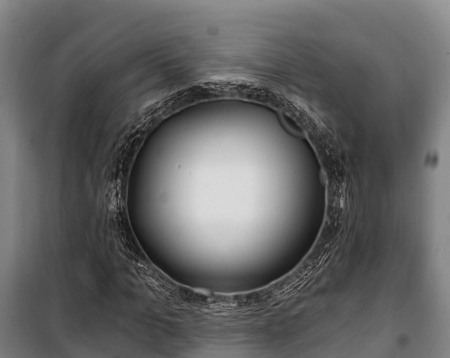 X0000100200965200806061318