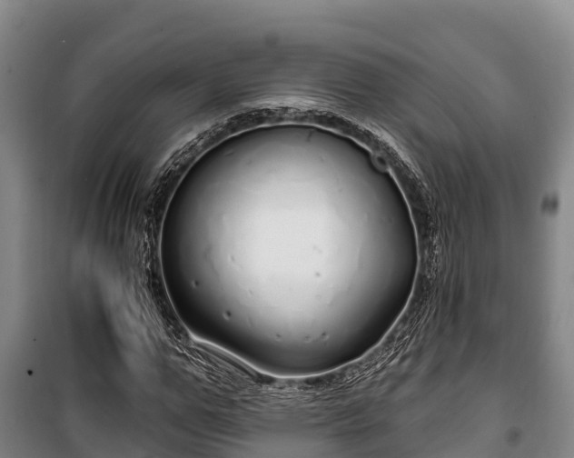 X0000100200967200806061318