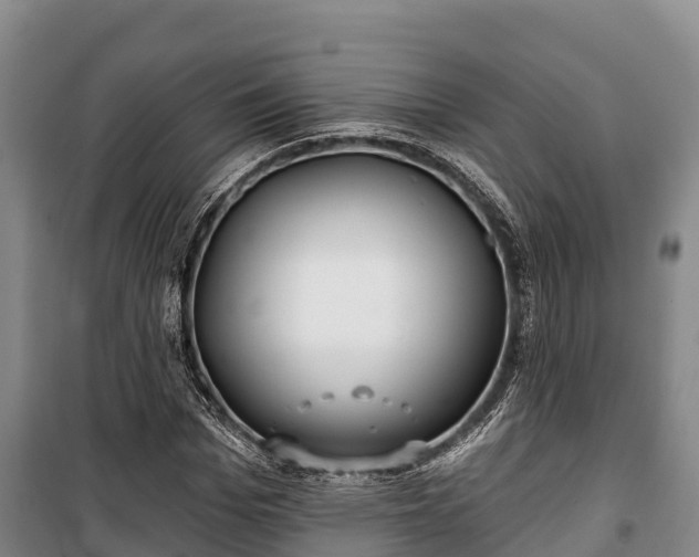 X0000100200969200806061318