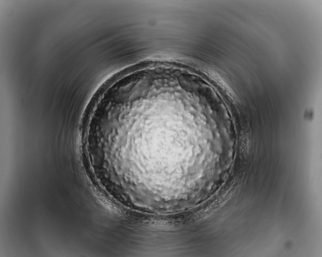 X0000100200976200806061318