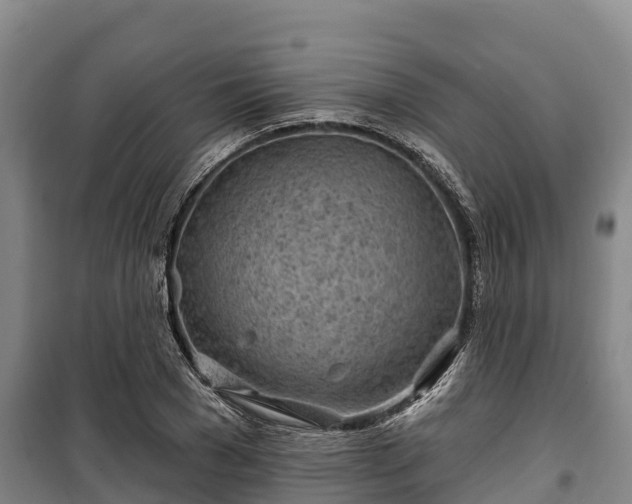 X0000100200977200806061318