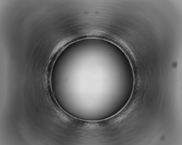 X0000100200978200806061318