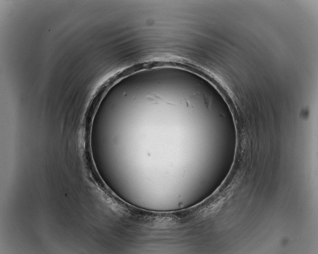 X0000100200979200806061318