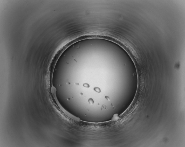 X0000100200982200806061318