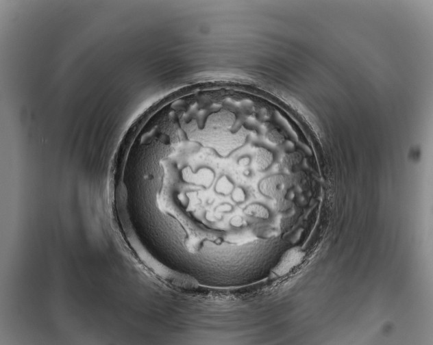 X0000100200983200806061318