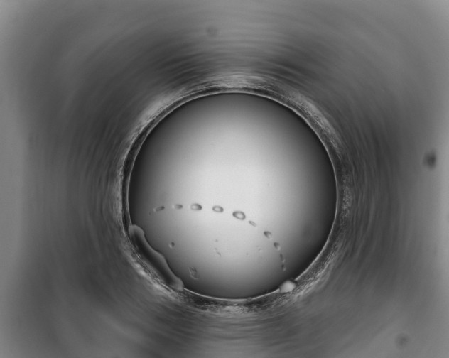 X0000100200986200806061318