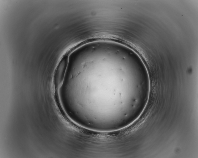 X0000100200987200806061318